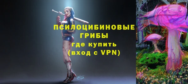 ГАЛЛЮЦИНОГЕННЫЕ ГРИБЫ Дмитров
