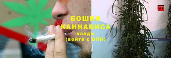 бутират Дмитриев