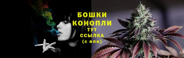 бутират Дмитриев