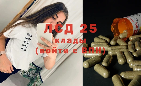 ГАЛЛЮЦИНОГЕННЫЕ ГРИБЫ Дмитров
